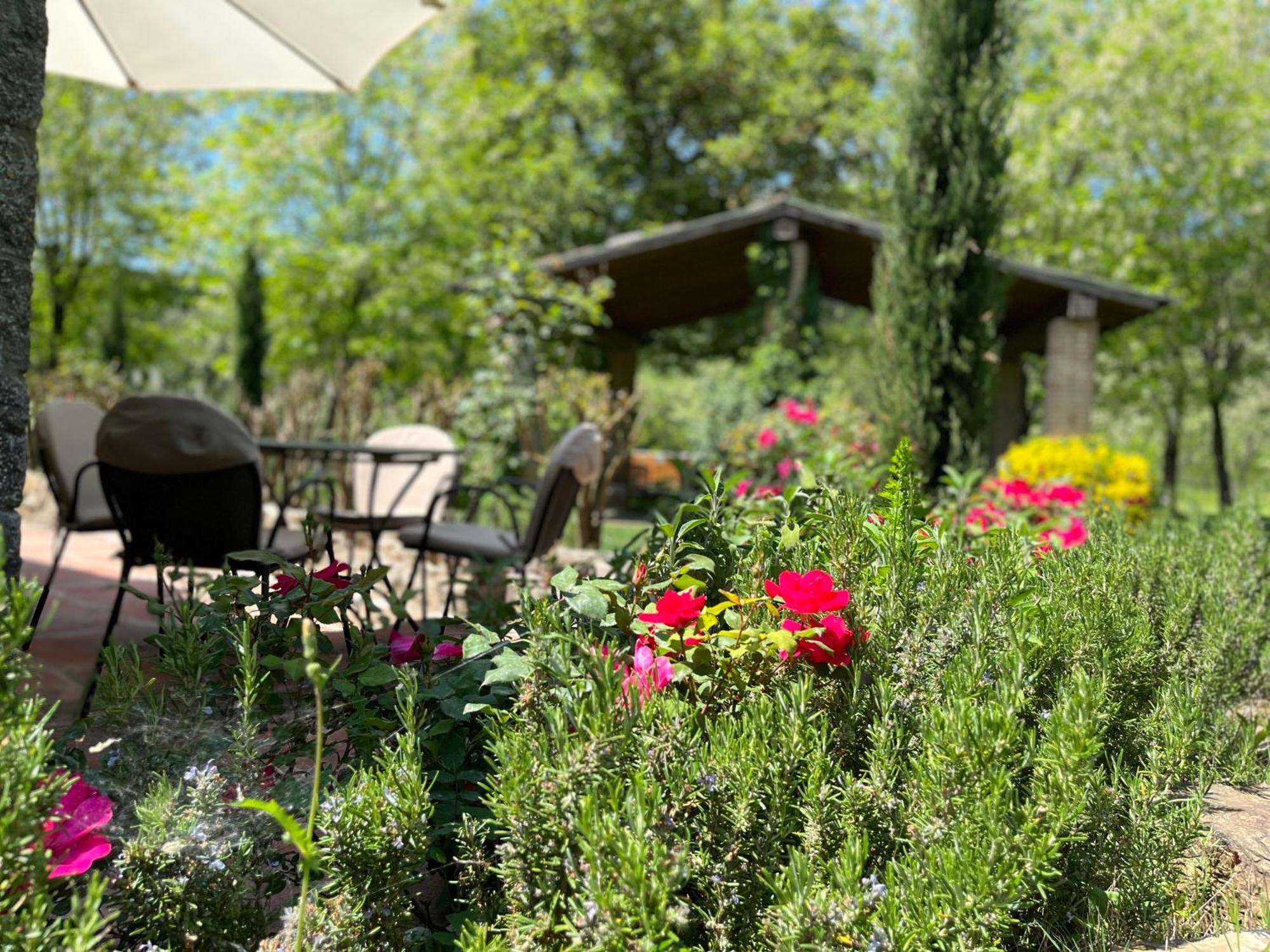 Апартаменты Mulino In Chianti Гайоле-ин-Кьянти Экстерьер фото