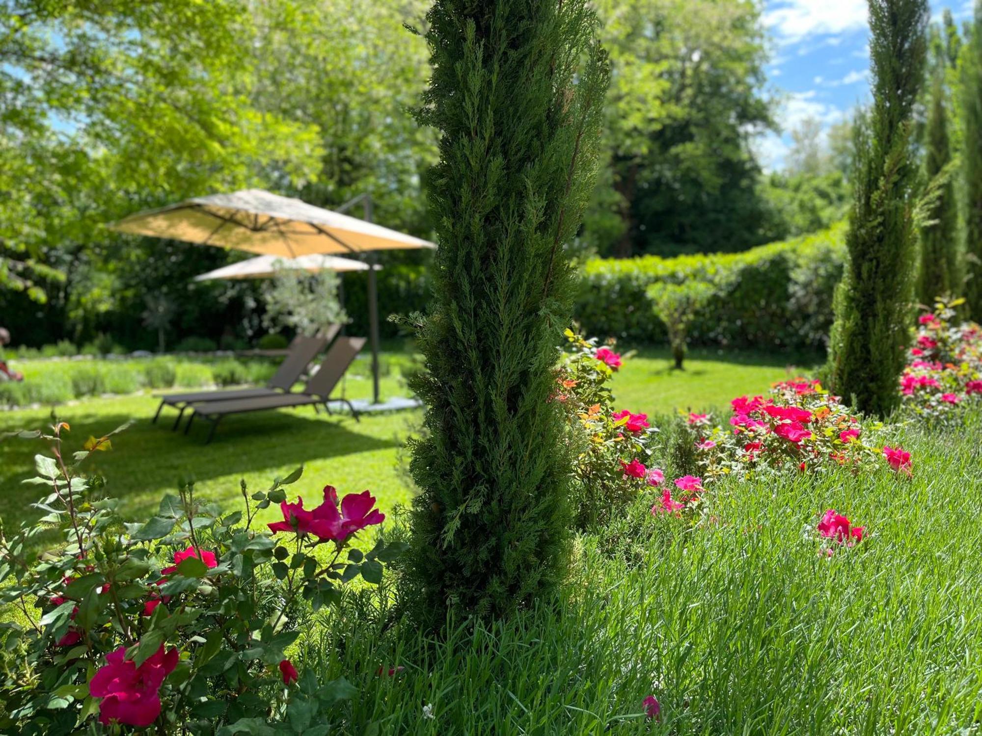 Апартаменты Mulino In Chianti Гайоле-ин-Кьянти Экстерьер фото