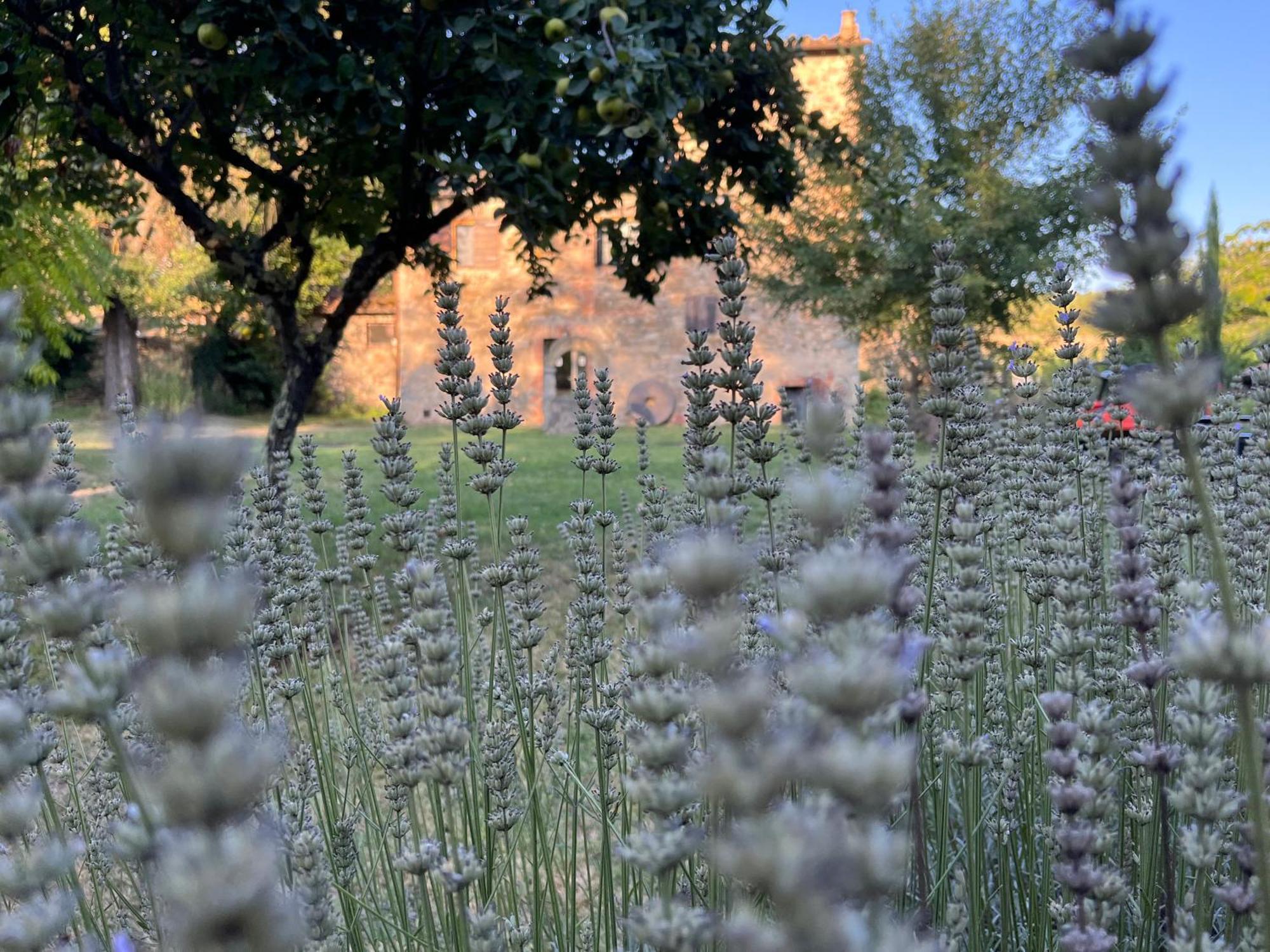 Апартаменты Mulino In Chianti Гайоле-ин-Кьянти Экстерьер фото